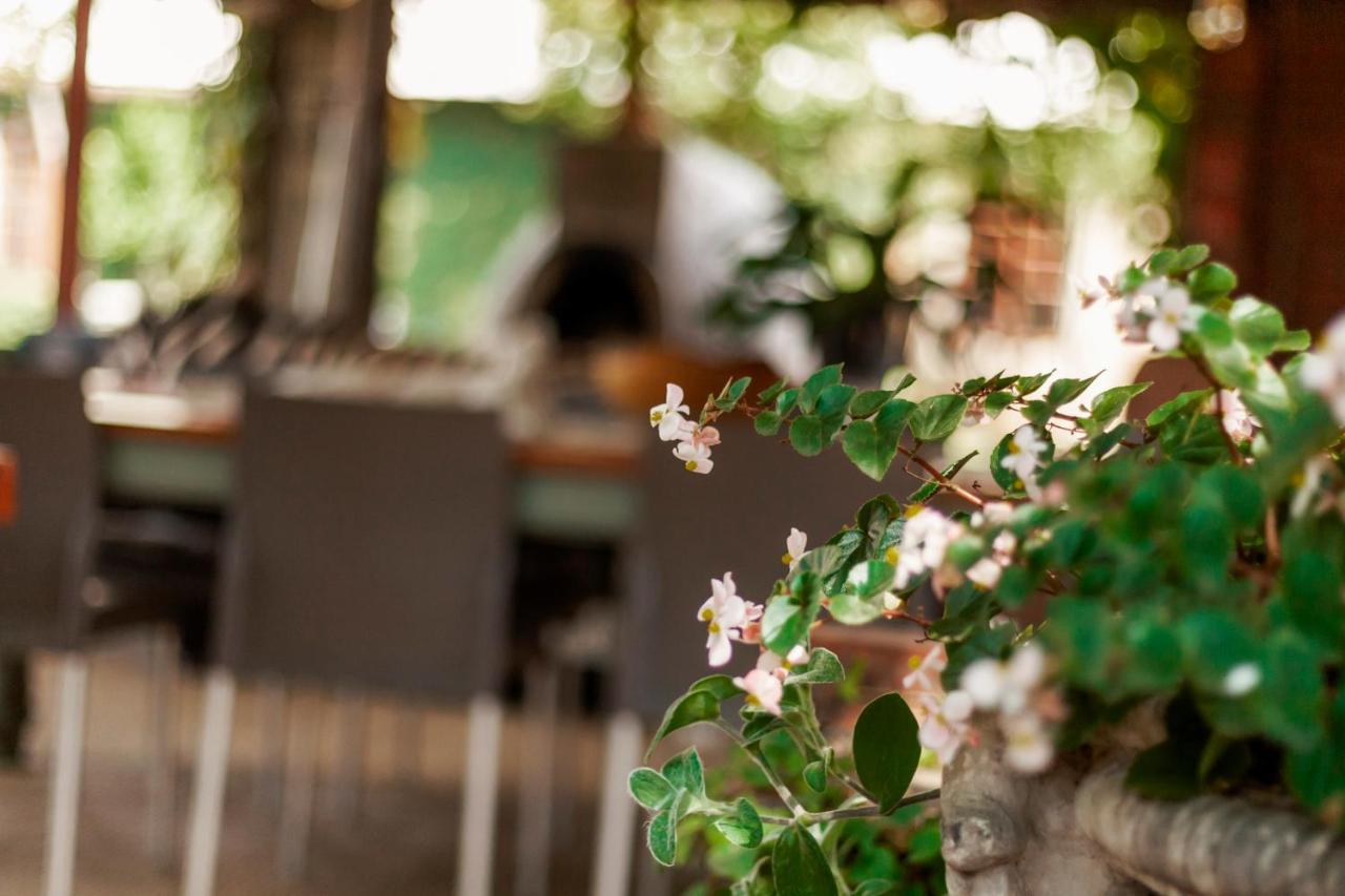 Hotel Town And Country Mpumalanga Middelburg  Zewnętrze zdjęcie